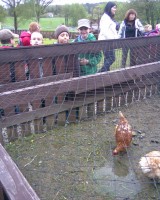 /album/vylet-do-berchtold/b23-jpg/